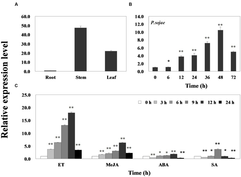 FIGURE 2