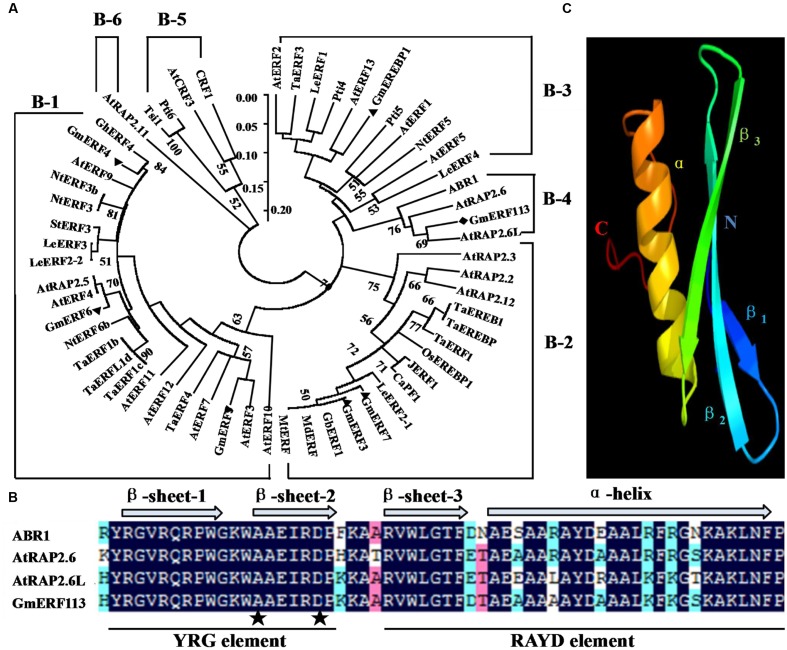 FIGURE 1