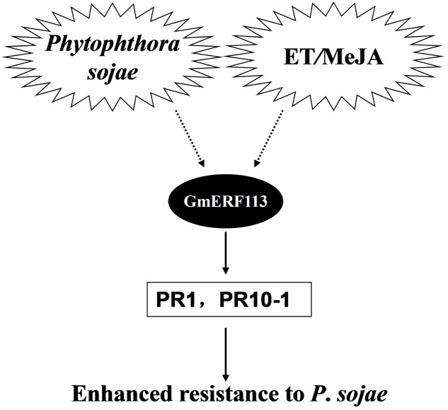 FIGURE 9