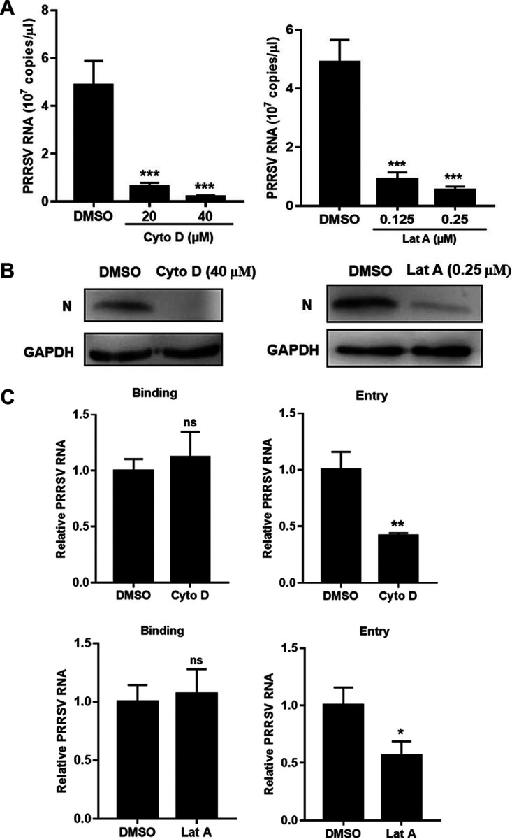 FIG 6