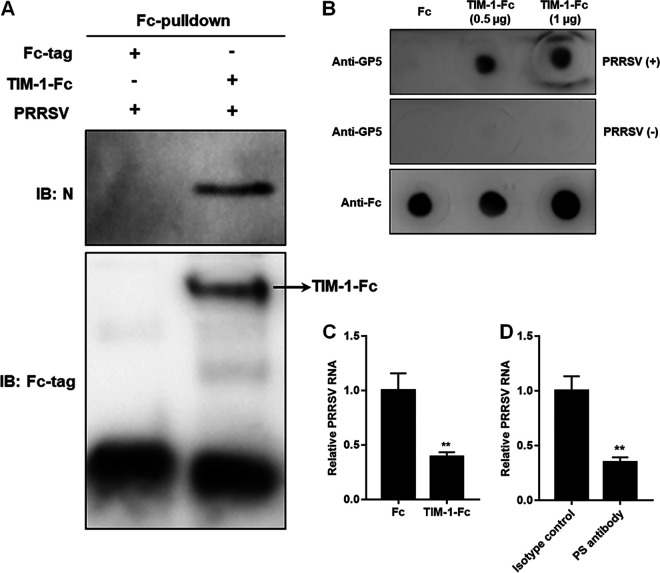 FIG 3