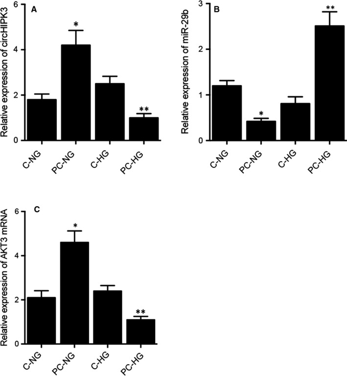 FIGURE 3