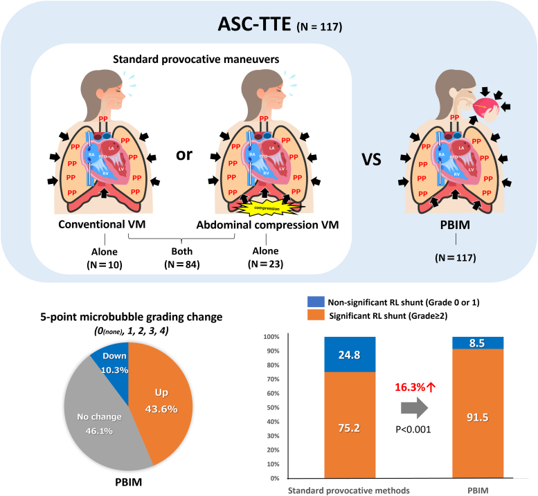 Graphical Abstract