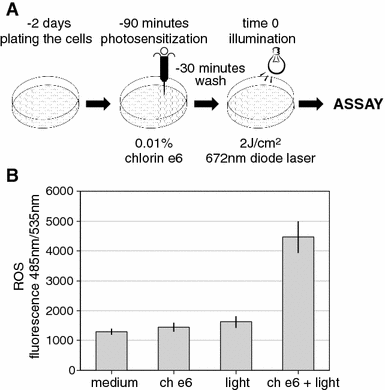 Fig. 2