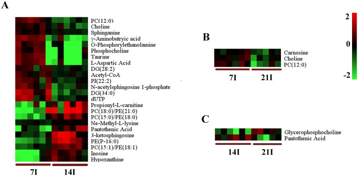 Fig 6