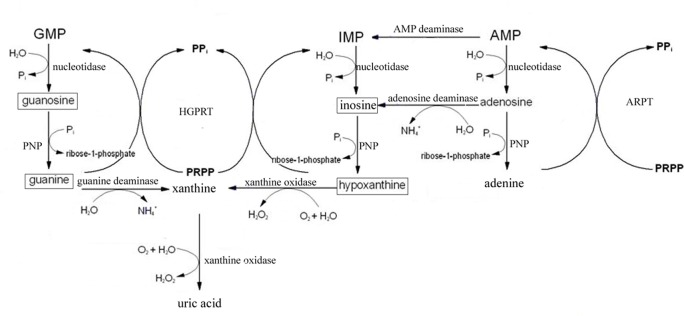 Fig 7