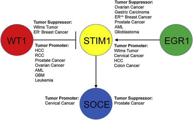 Figure 5: