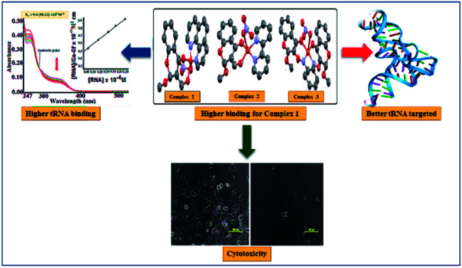 graphic file with name c8ra06722h-ga.jpg