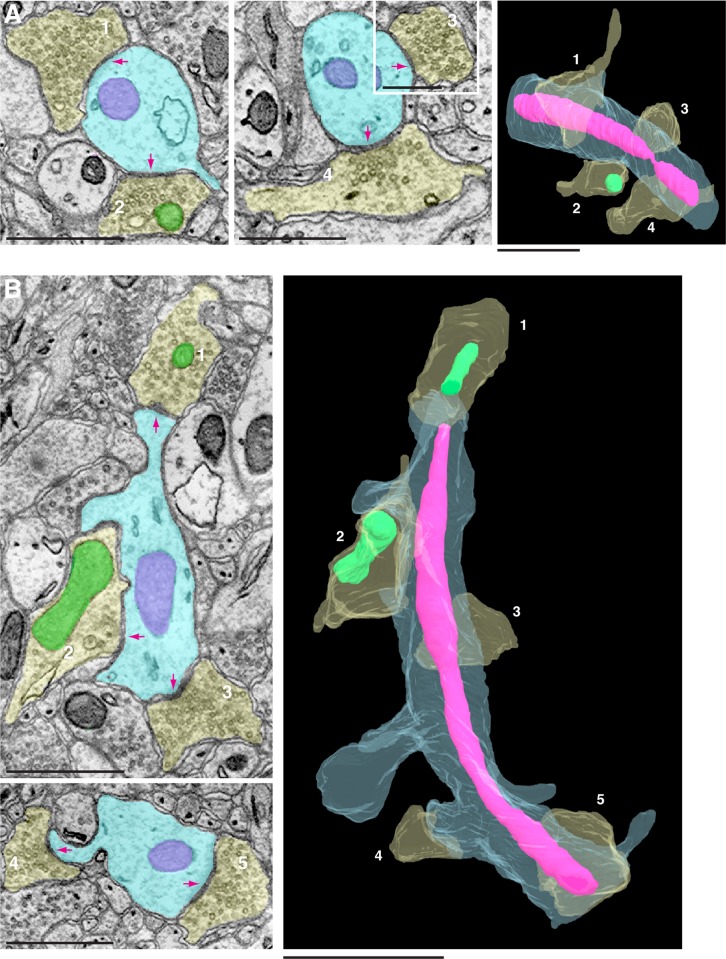 Fig. 3.