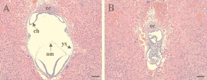 FIG. 7