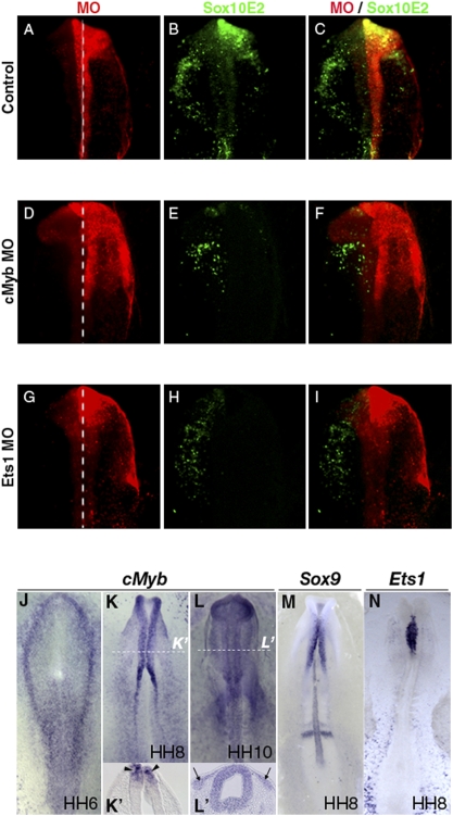 Fig. 4.