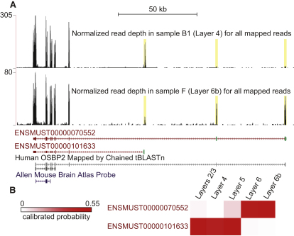 Figure 3