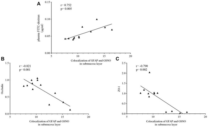 FIGURE 12