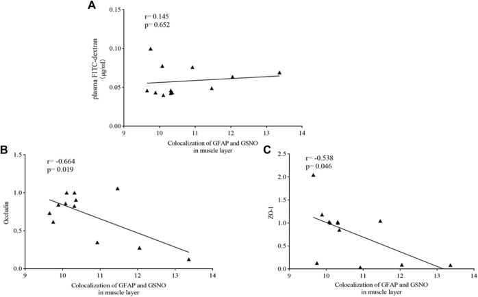 FIGURE 11