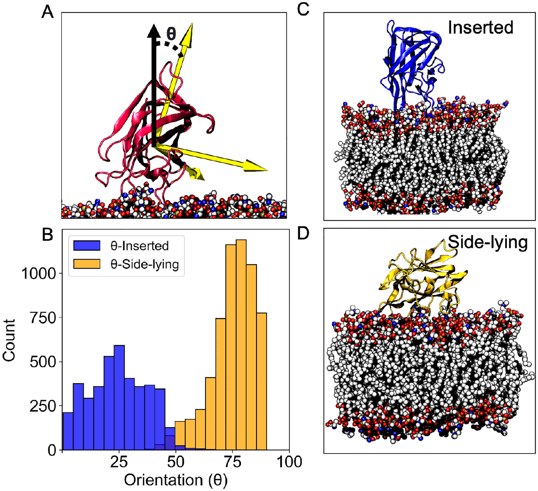 Figure 1.