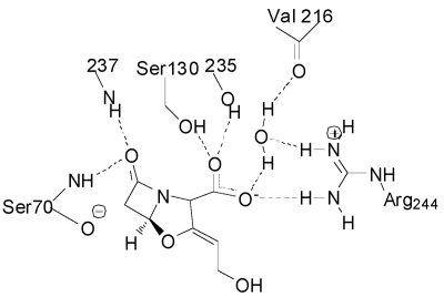 FIG. 9.