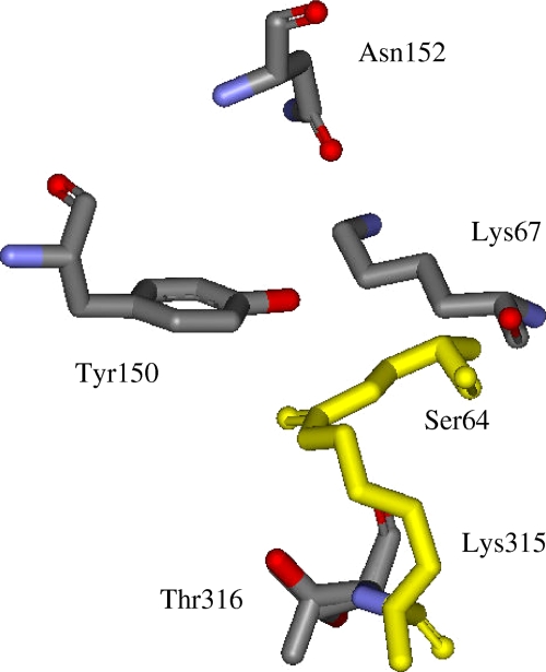 FIG. 12.