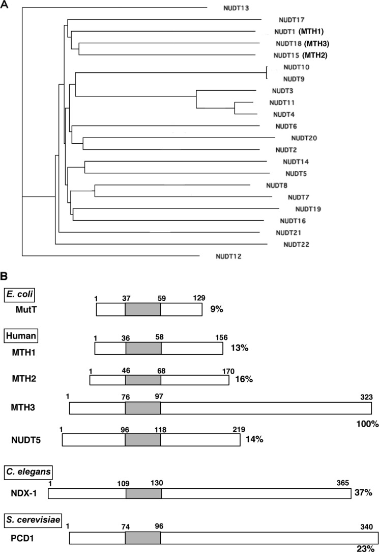 FIGURE 7.