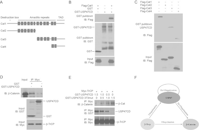 FIG 5