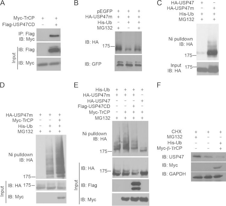 FIG 3