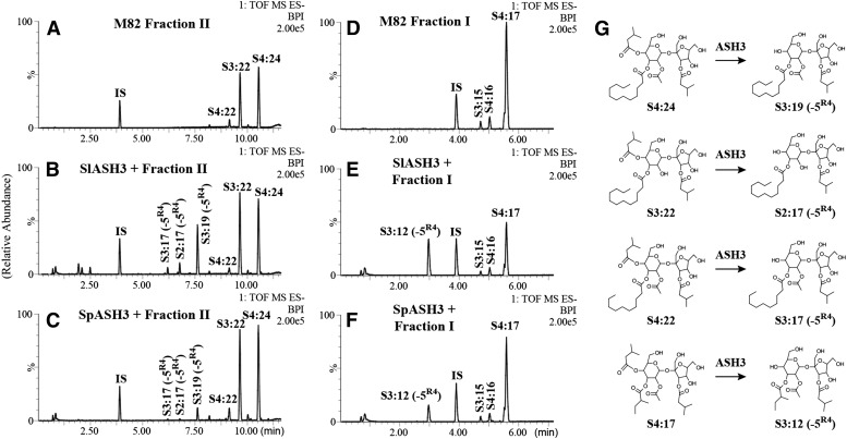 Figure 5.