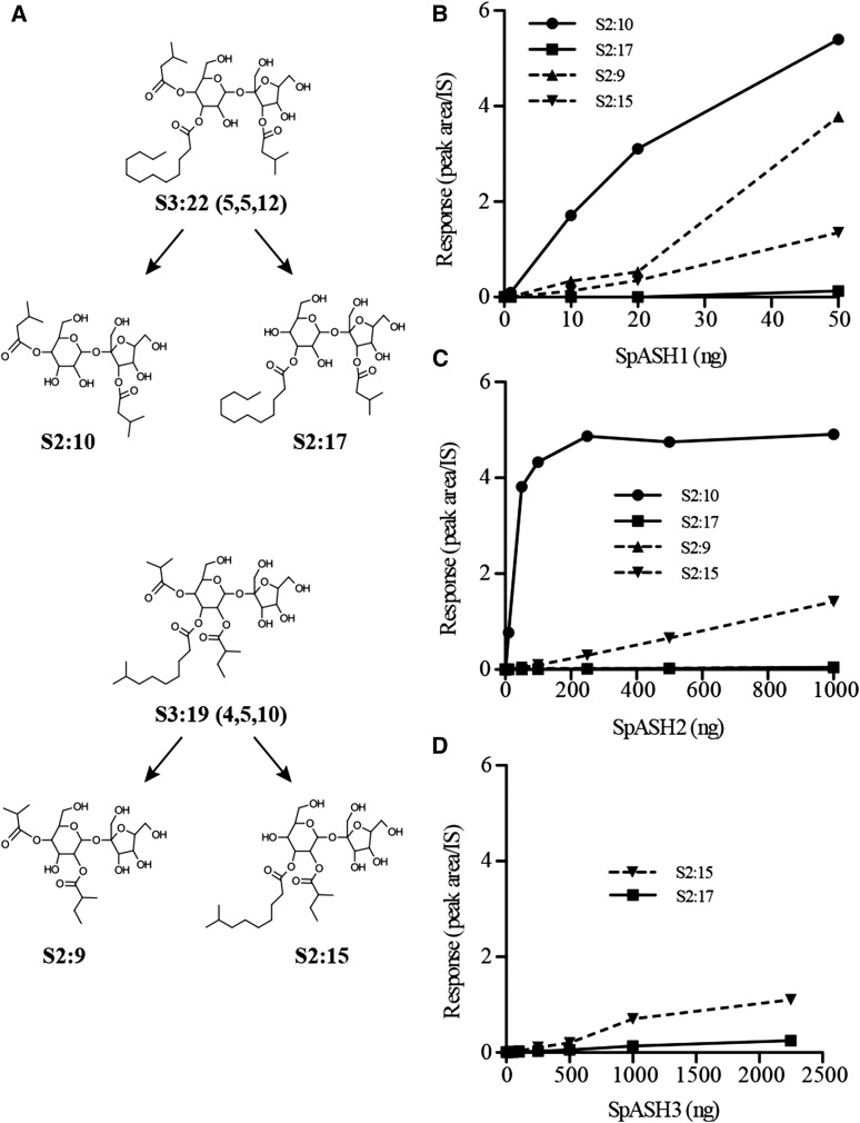 Figure 6.