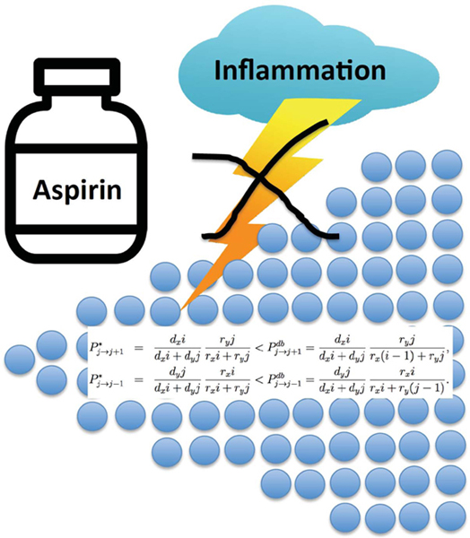 graphic file with name nihms-1574234-f0010.jpg