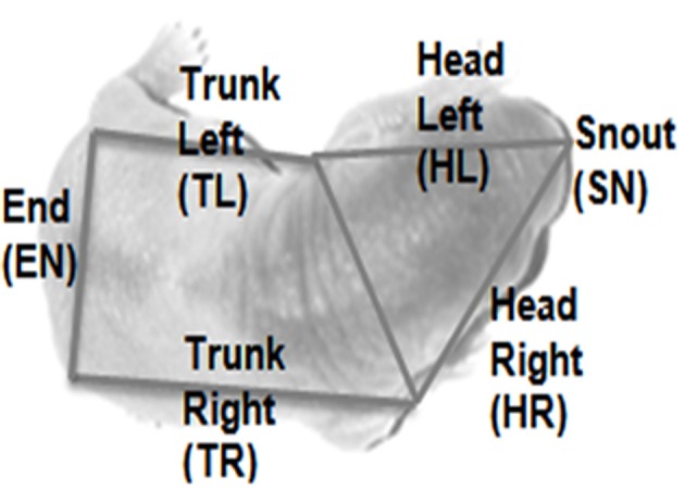 Figure 10