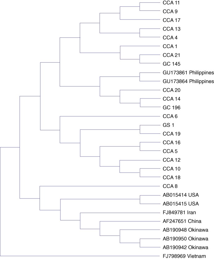 Figure 2