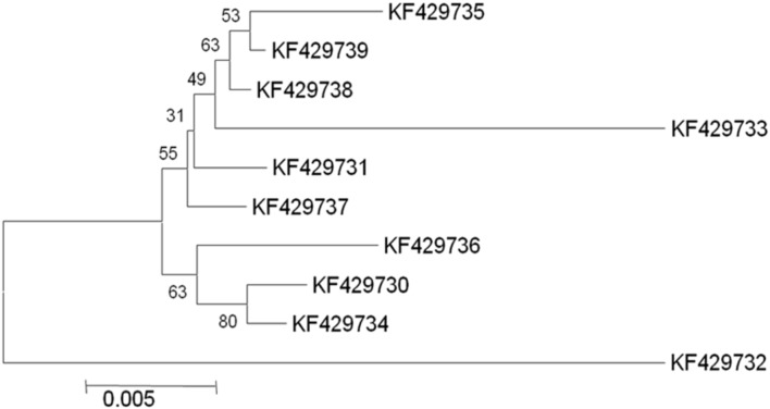 FIGURE 1