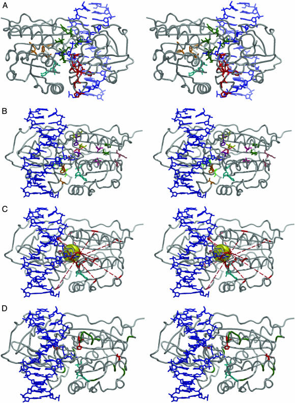 Fig. 4.