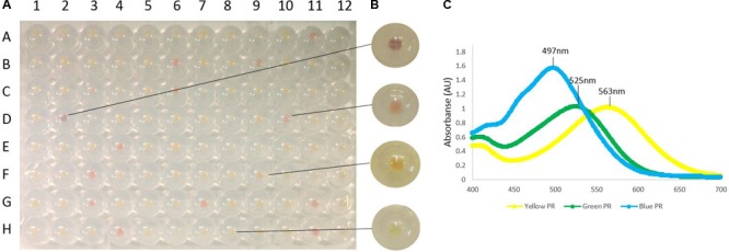 FIGURE 2