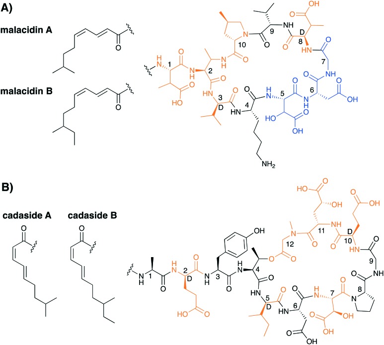 Fig. 11