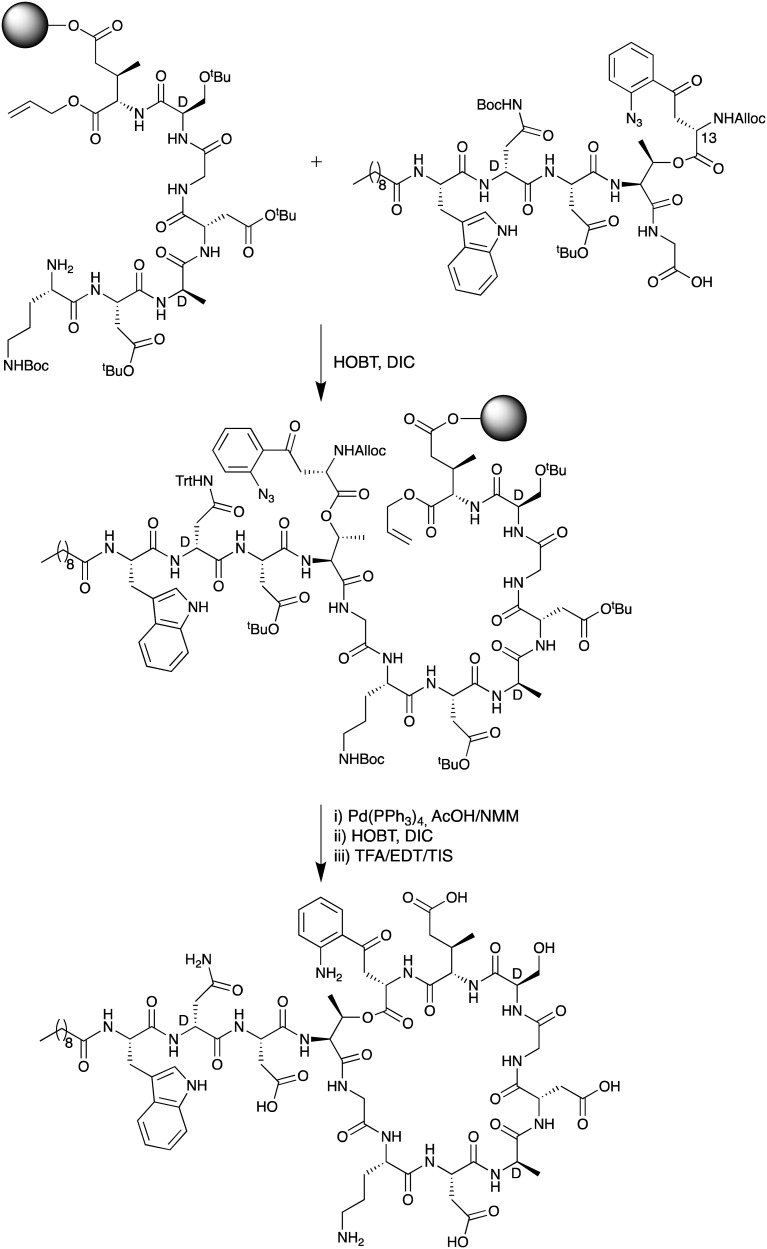 Scheme 1