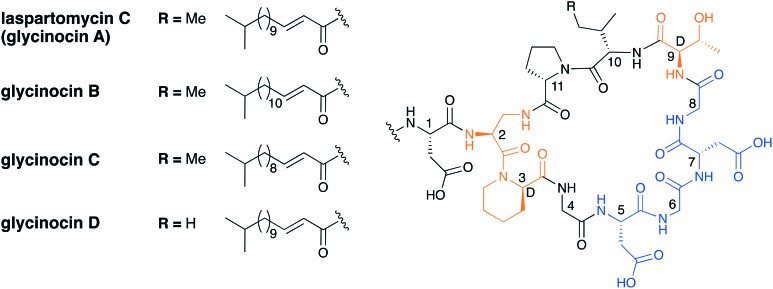 Fig. 8