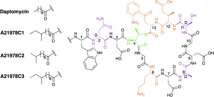 Fig. 2