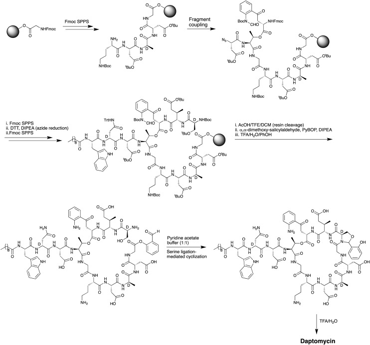 Scheme 2