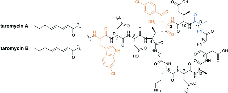 Fig. 10