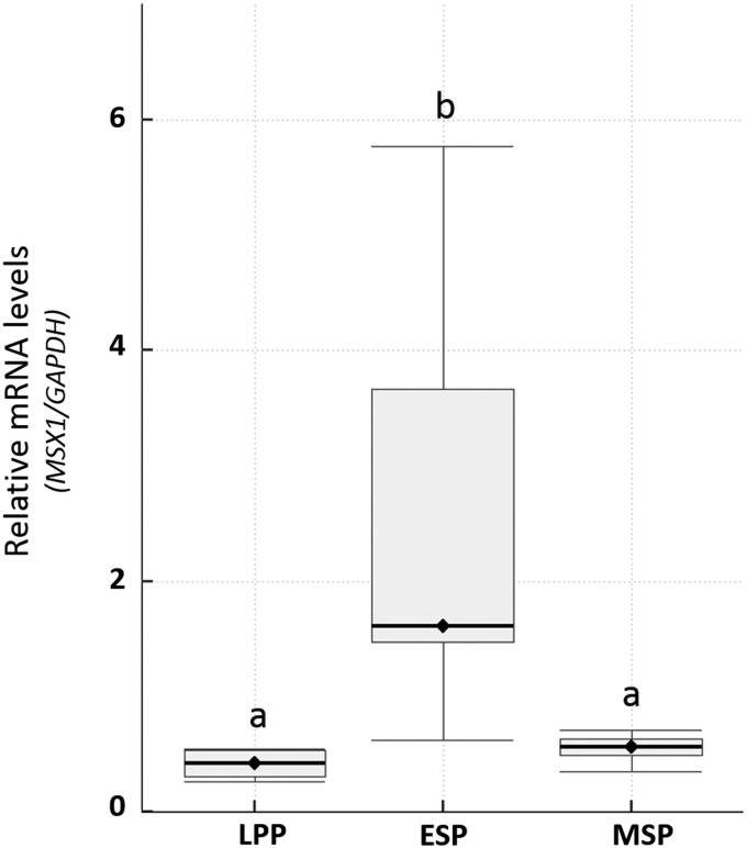 Figure 1