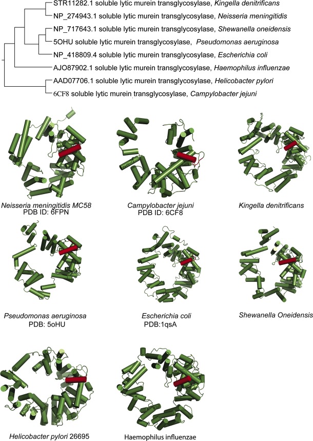 Figure 1—figure supplement 1.