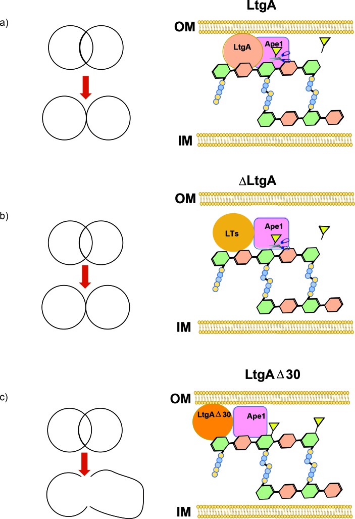 Figure 7.