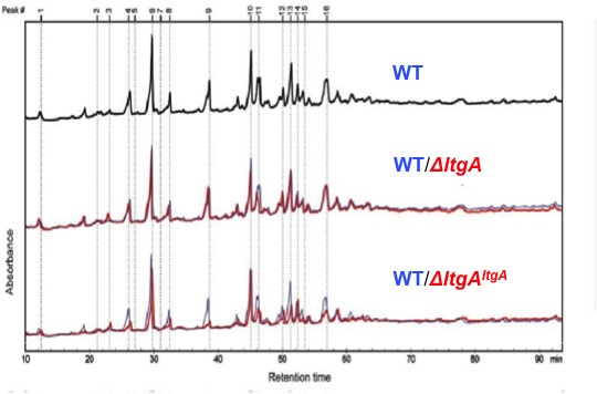 Figure 4—figure supplement 1.