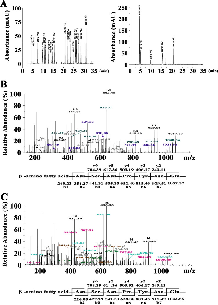 FIG 3