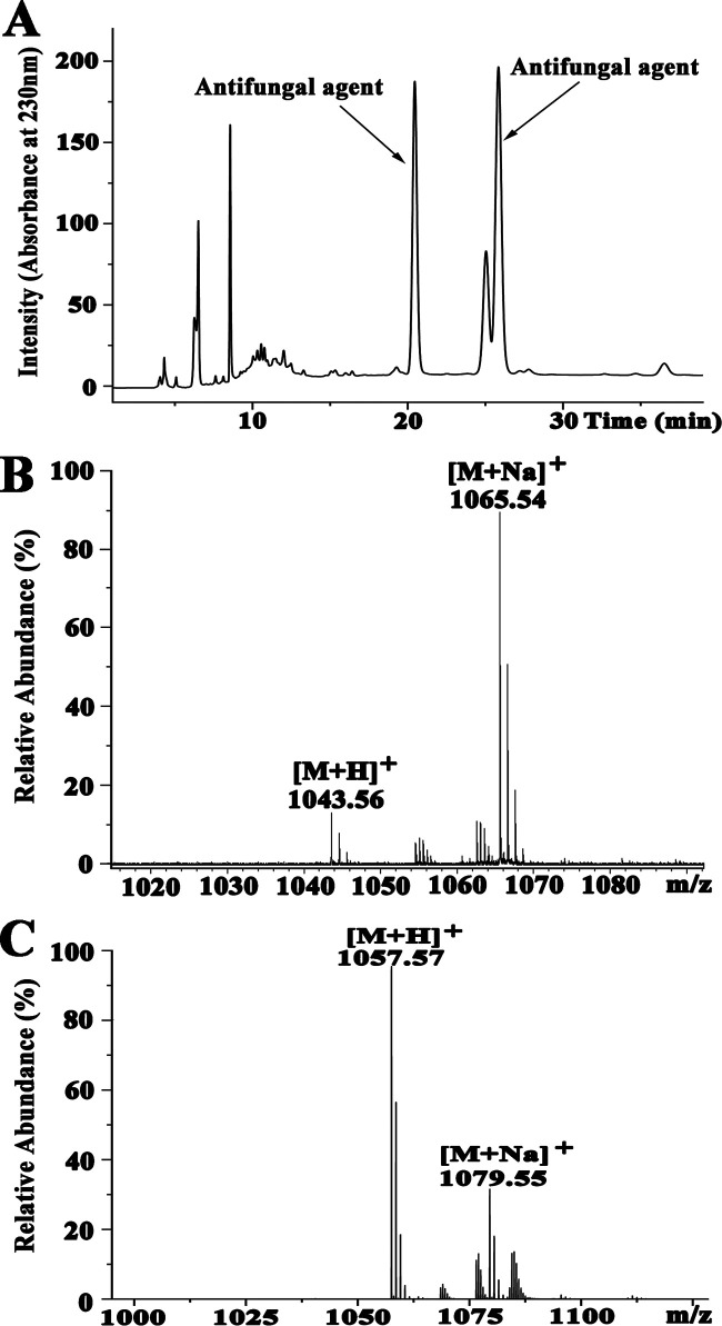 FIG 2