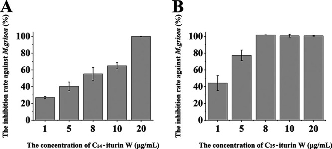 FIG 4