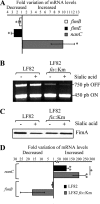 FIG. 6.