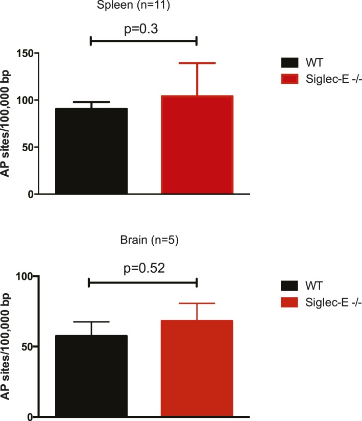 Figure 4—figure supplement 1.