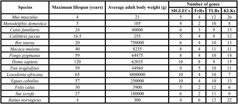 Figure 1—figure supplement 1.