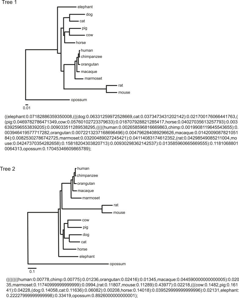 Figure 1—figure supplement 3.