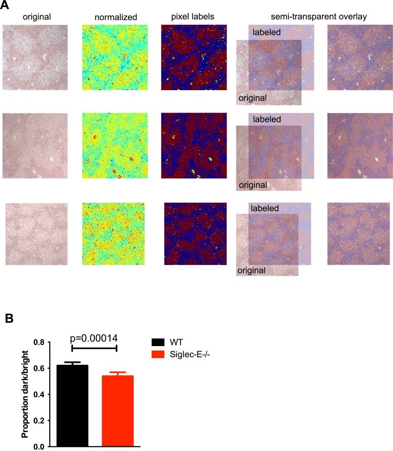 Figure 3—figure supplement 3.